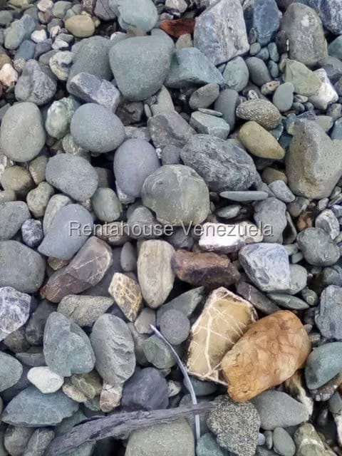 Casa (Hacienda) en Venta en Via San Sebastian, Guarico - 15