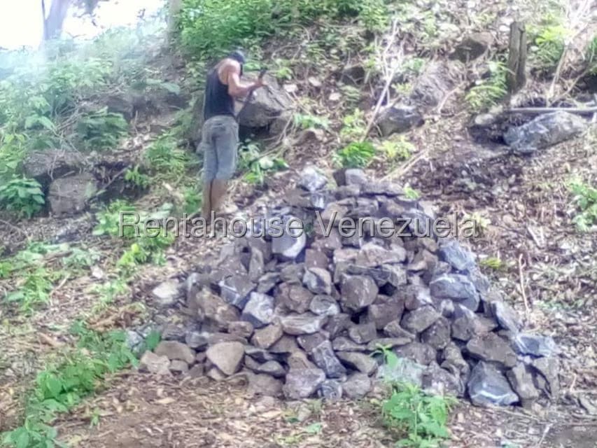 Casa (Hacienda) en Venta en Via San Sebastian, Guarico - 16