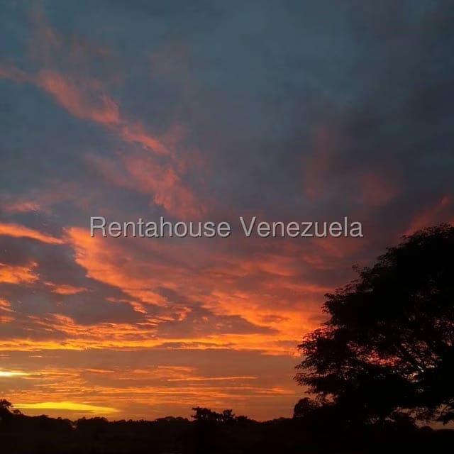 Casa (Hacienda) en Venta en Via San Sebastian, Guarico - 17