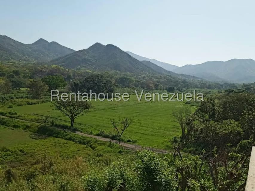 Casa (Hacienda) en Venta en Via San Sebastian, Guarico - 6