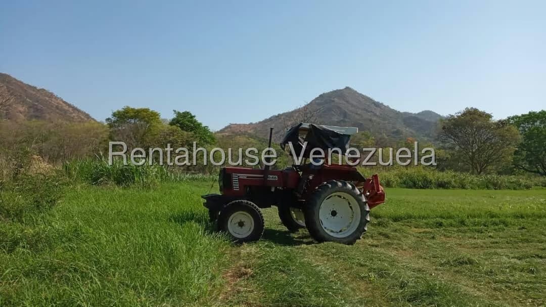 Casa (Hacienda) en Venta en Via San Sebastian, Guarico - 7