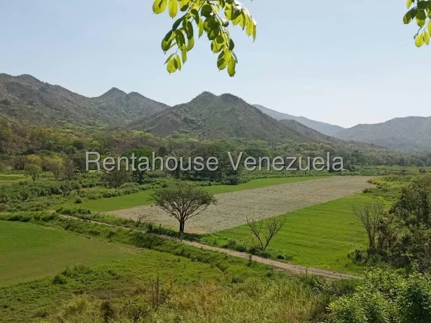 Casa (Hacienda) en Venta en Via San Sebastian, Guarico - 8