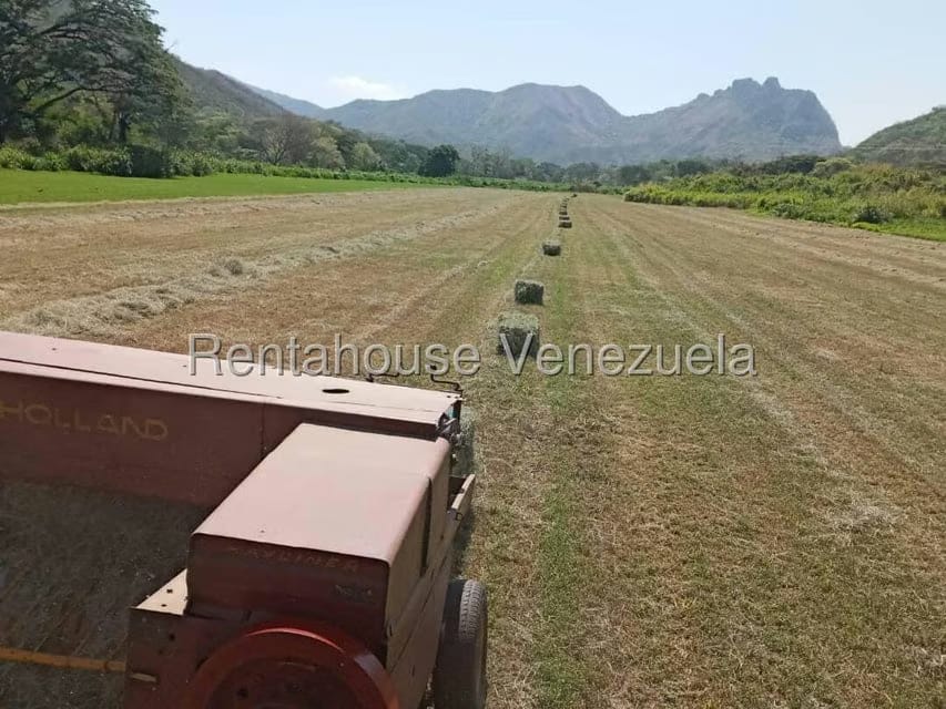 Casa (Hacienda) en Venta en Via San Sebastian, Guarico - 9