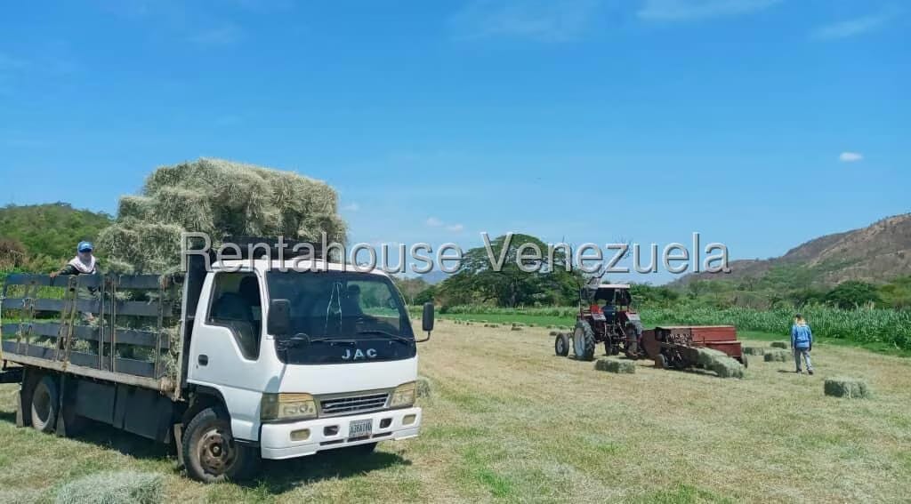 Casa (Hacienda) en Venta en Via San Sebastian, Guarico - 10