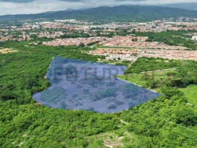 Terreno En Venta Sector El Placer Cabudare Terreno de 25.000m2, ideal pa - 2