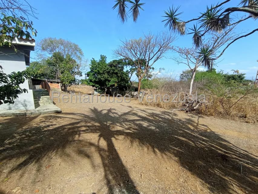 Terreno (Residencial) en Venta en Tarabana, Lara - 9