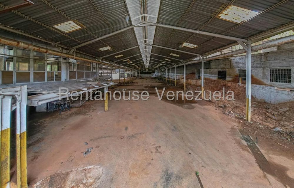 Comercial (Local Comercial) en Venta en Parque Caiza, Distrito Metropolitano - 10