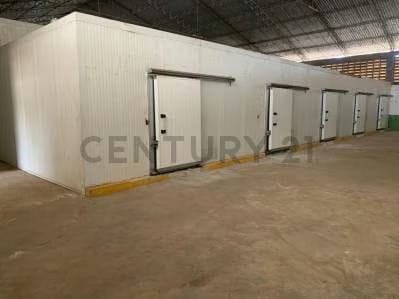 ZONA INDUSTRIAL SUR. CAVAS Y CUARTO FRIO - 5