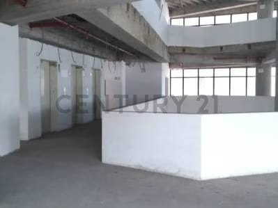 Amplias Oficinas en edficio con moderno diseño arquitectónico - 5