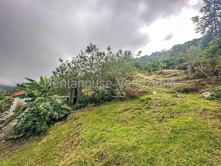 Comercial (Local Comercial) en Alquiler en Galipan, Distrito Metropolitano - 23