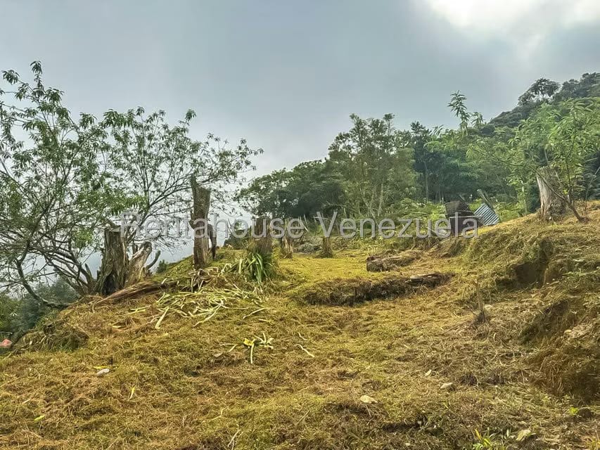 Comercial (Local Comercial) en Alquiler en Galipan, Distrito Metropolitano - 25