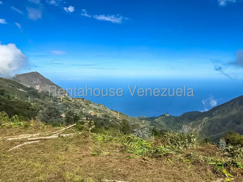 Comercial (Local Comercial) en Alquiler en Galipan, Distrito Metropolitano - 30