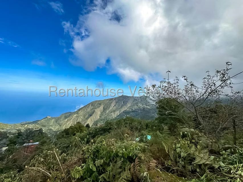 Comercial (Local Comercial) en Alquiler en Galipan, Distrito Metropolitano - 35