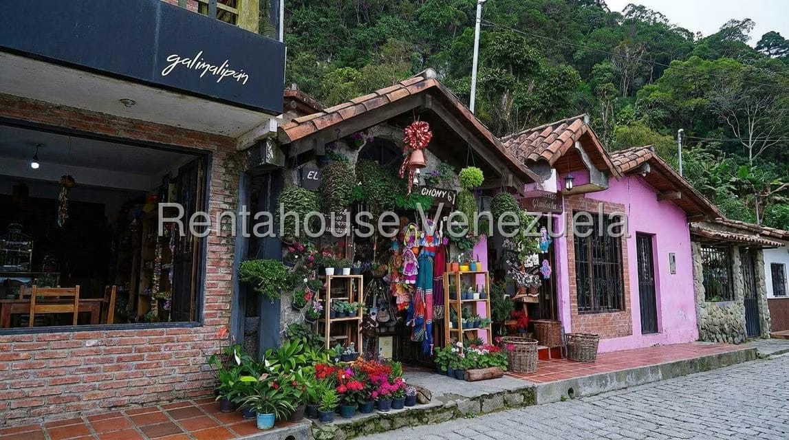 Comercial (Local Comercial) en Alquiler en Galipan, Distrito Metropolitano - 37