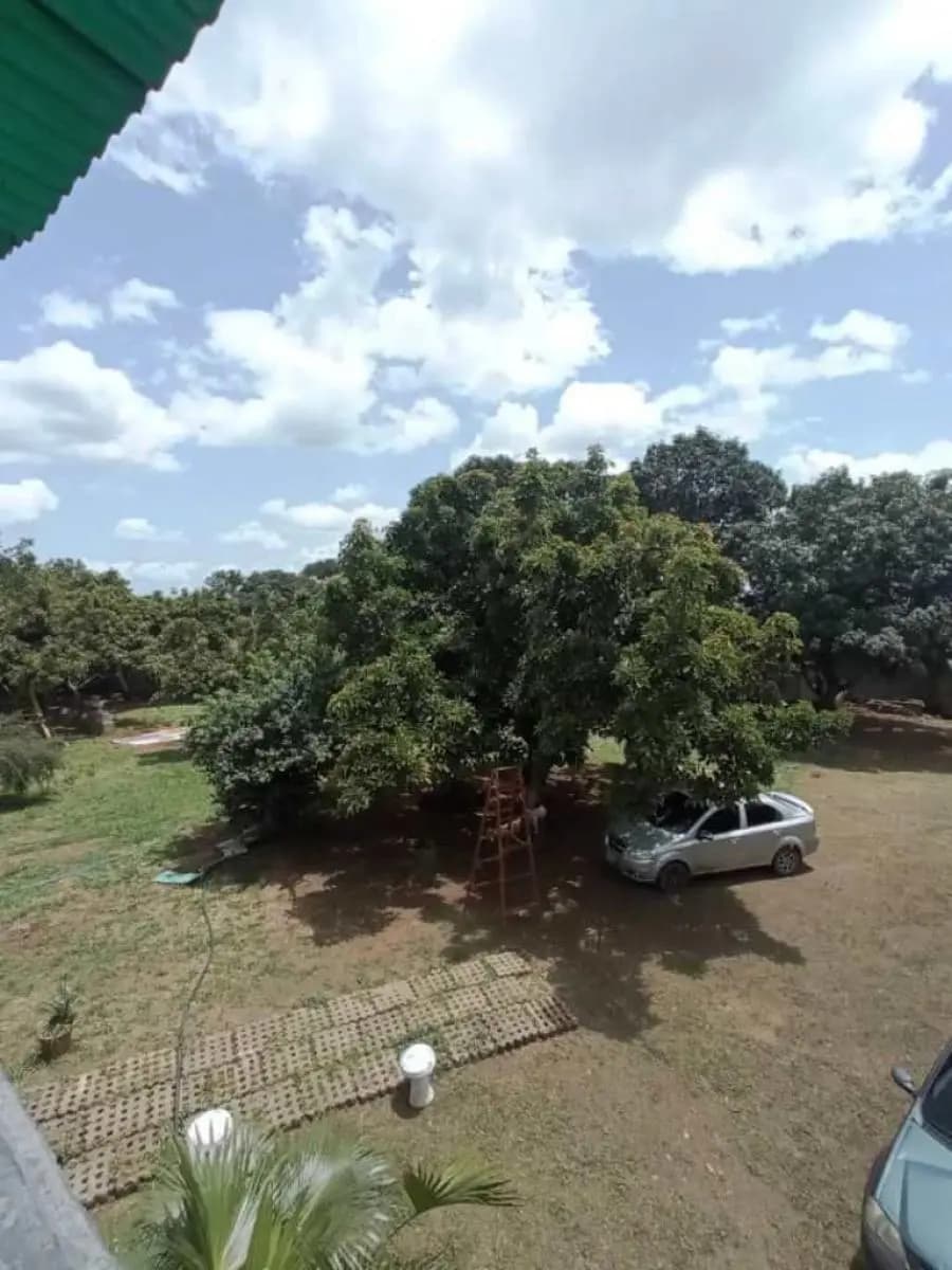 Terreno en Venta en Tinaquillo - 3