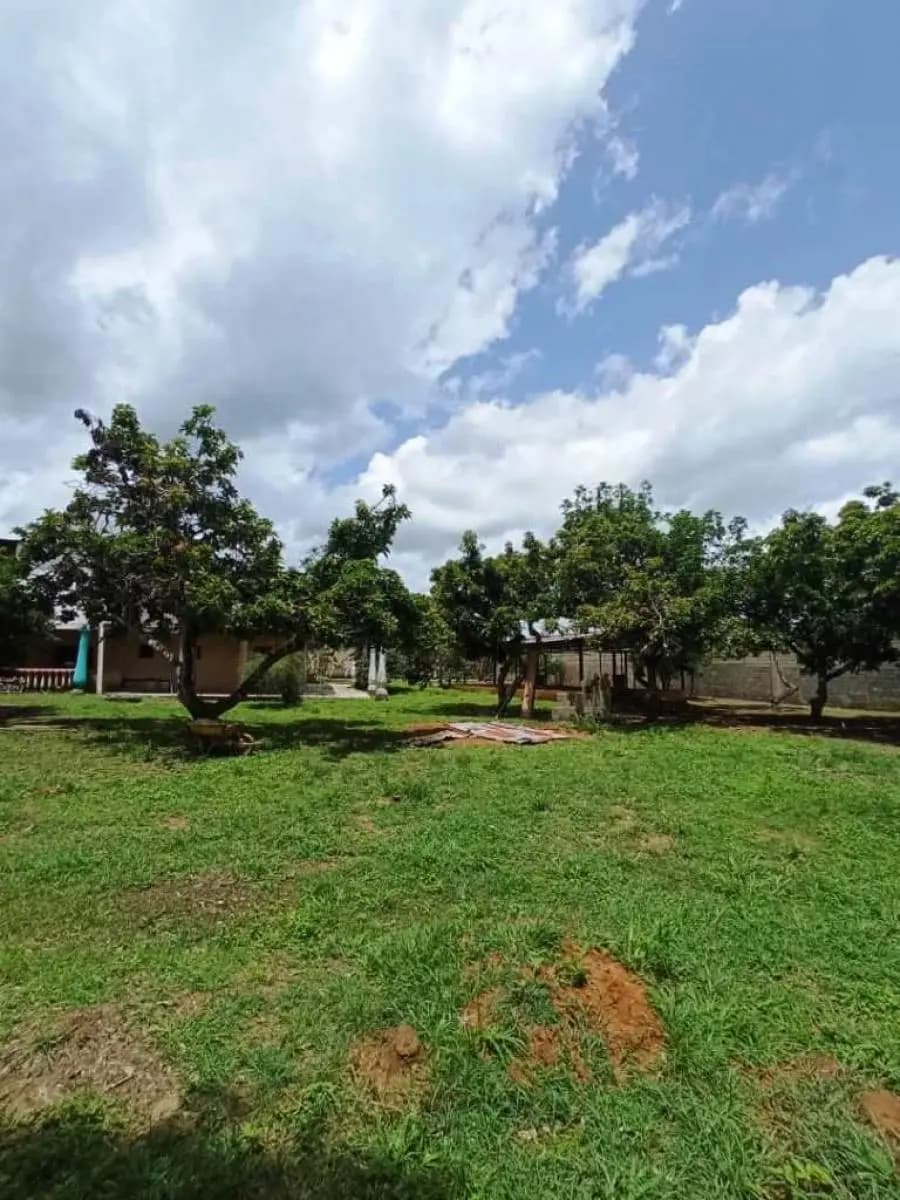 Terreno en Venta en Tinaquillo - 4