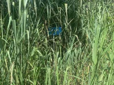 En venta parcela en Safari Carabobo