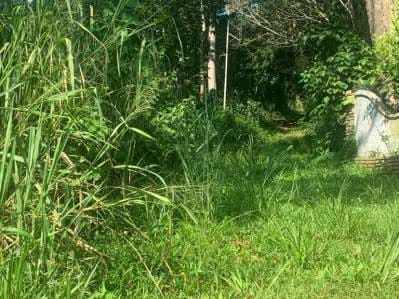 En venta parcela en Safari Carabobo - 2