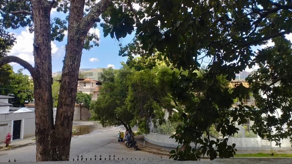 Oportunidad de Inversión. Qta con Potencial Comercial en El Paraiso. - 7