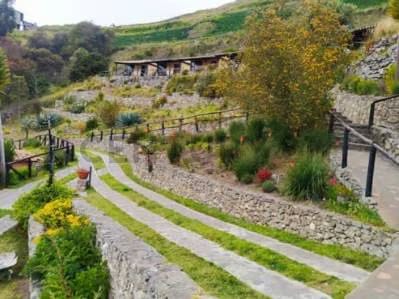 Posada en venta Merida - 10