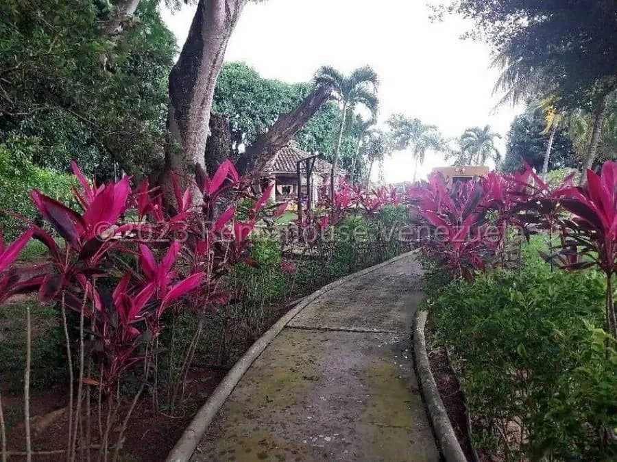 Casa en Venta en Safari Carabobo Tocuyito - 6