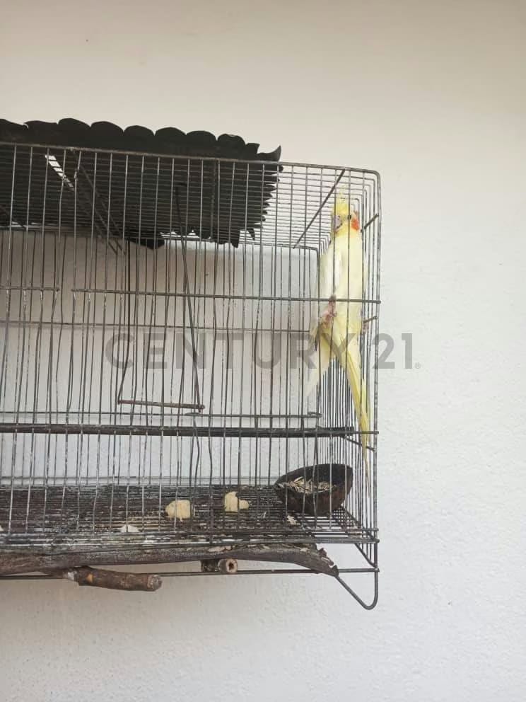 Casa Familiar en Colinas de Vista Alegre: Tu Refugio Ideal! - 37