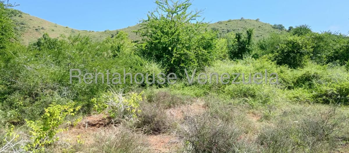 Terreno (Residencial) en Venta en Aricagua, Nueva Esparta