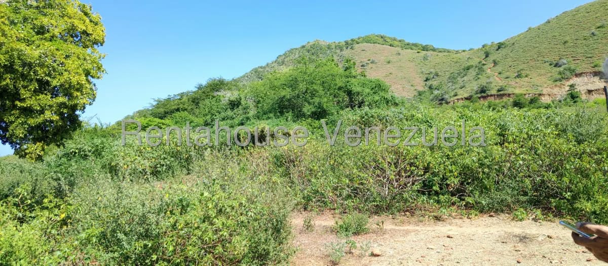 Terreno (Residencial) en Venta en Aricagua, Nueva Esparta - 2