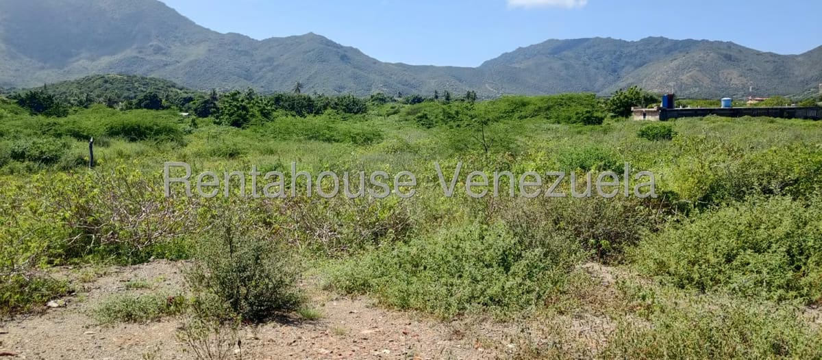 Terreno (Residencial) en Venta en Aricagua, Nueva Esparta - 3