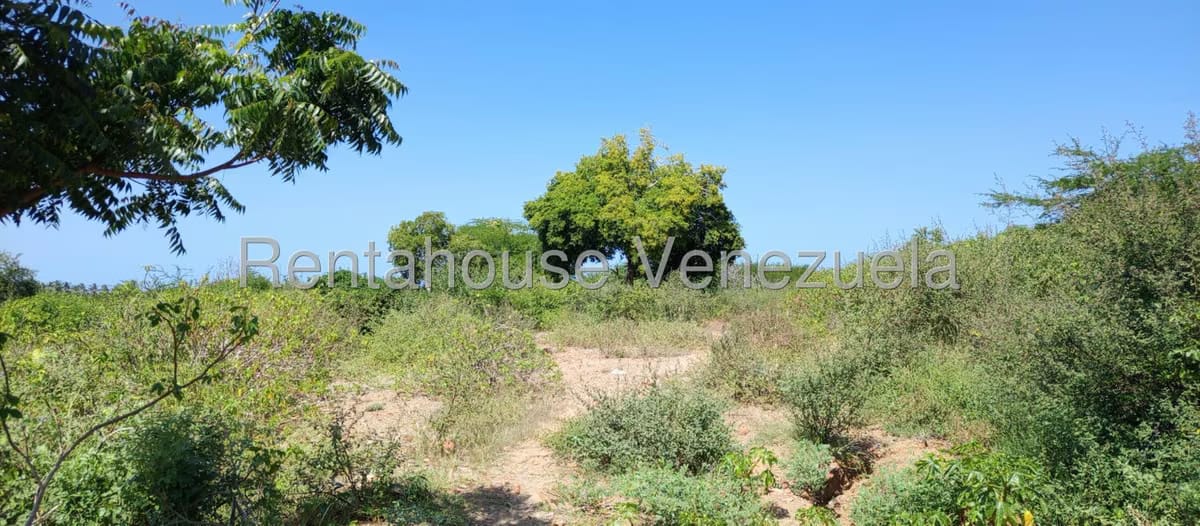 Terreno (Residencial) en Venta en Aricagua, Nueva Esparta - 4