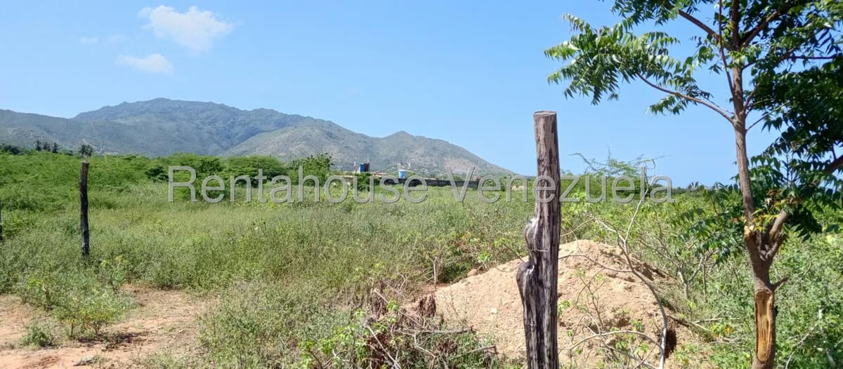 Terreno (Residencial) en Venta en Aricagua, Nueva Esparta - 6