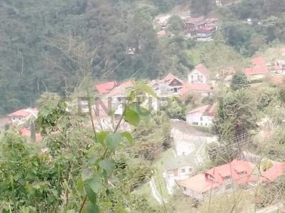 VENTA DE TERRENO LA COLONIA SECTOR LA BALLESTA - 4