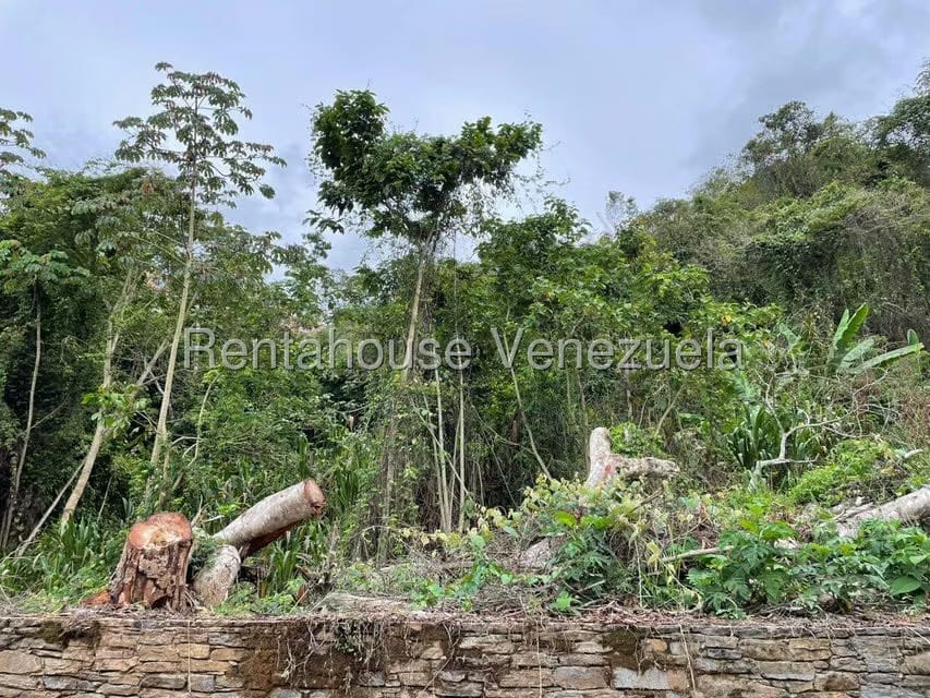 Terreno (Residencial) en Venta en La Boyera, Distrito Metropolitano - 4