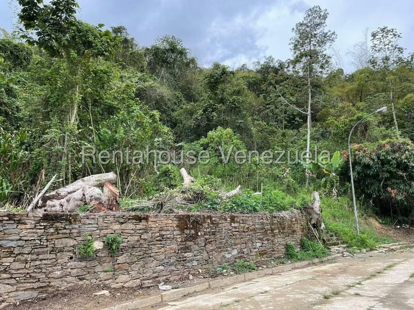 Terreno (Residencial) en Venta en La Boyera, Distrito Metropolitano - 5