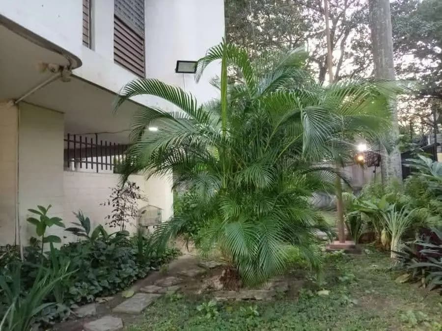 Apartamento en Alquiler en Prebo Valencia - 11