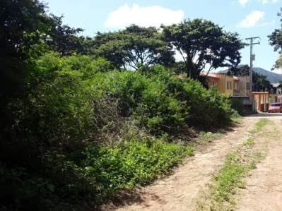 Terreno en la Asunción, Salamanca. - 3