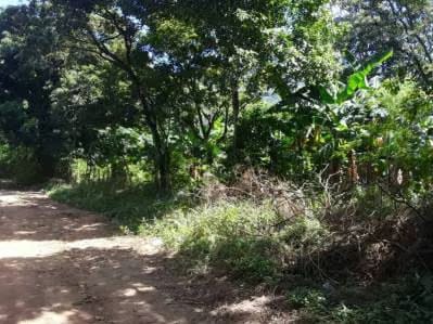 Terreno en la Asunción, Salamanca. - 4