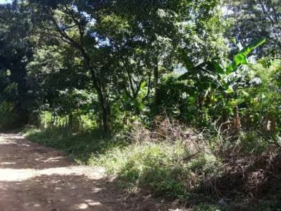 Terreno en la Asunción, Salamanca. - 5