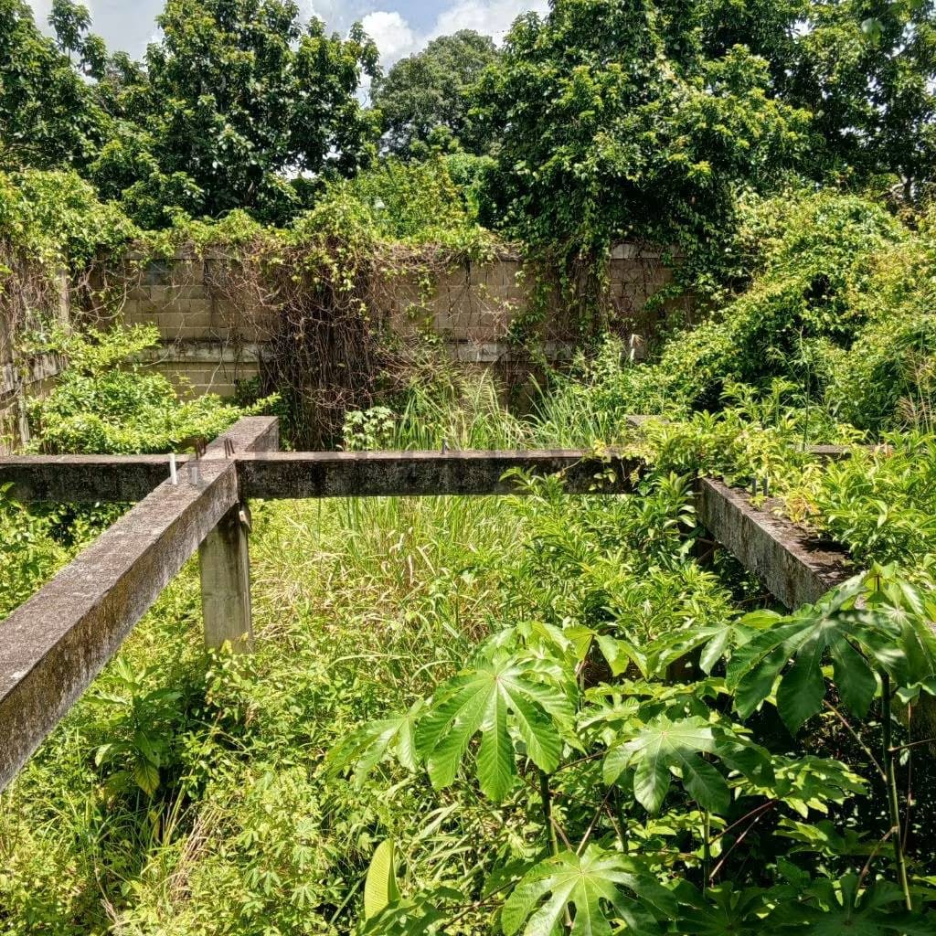 Se Vende Terreno con Proyecto Urbanistico Iniciado - 3