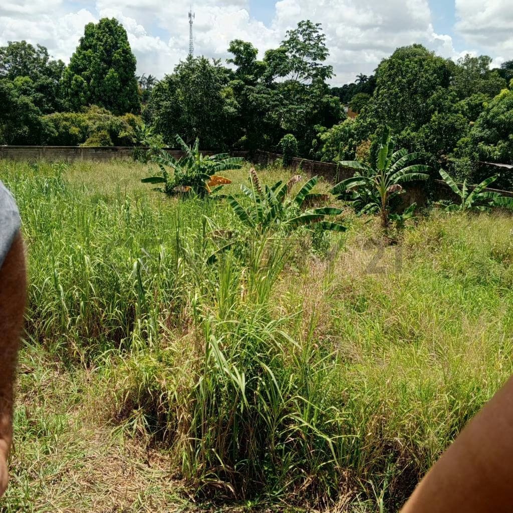 Se Vende Terreno con Proyecto Urbanistico Iniciado - 5