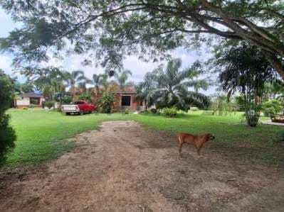 En Venta Casa en Safari Sector Casa Miel - 9