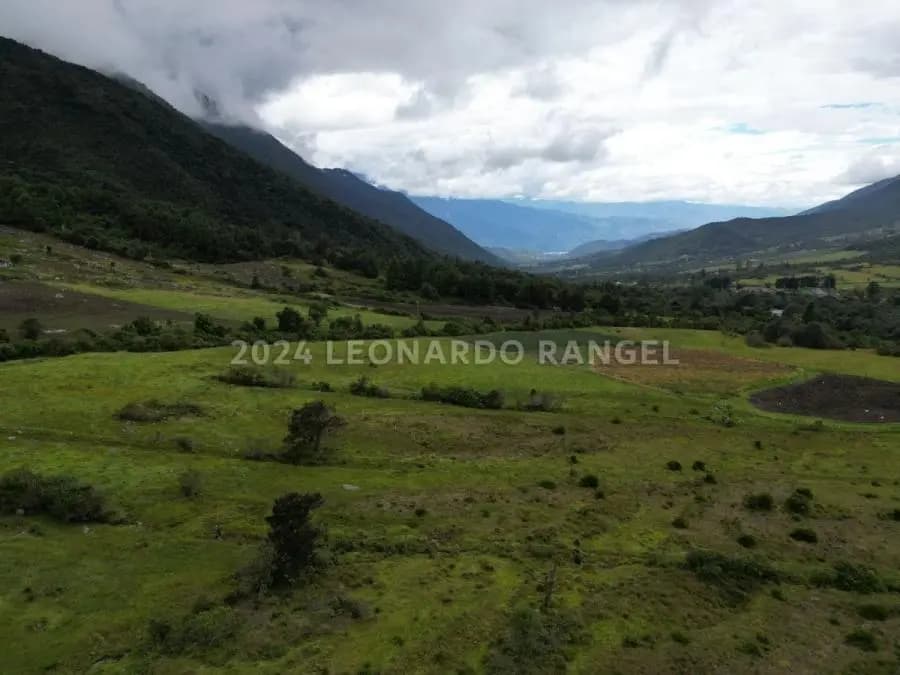 Terreno en Venta en la culata Mérida