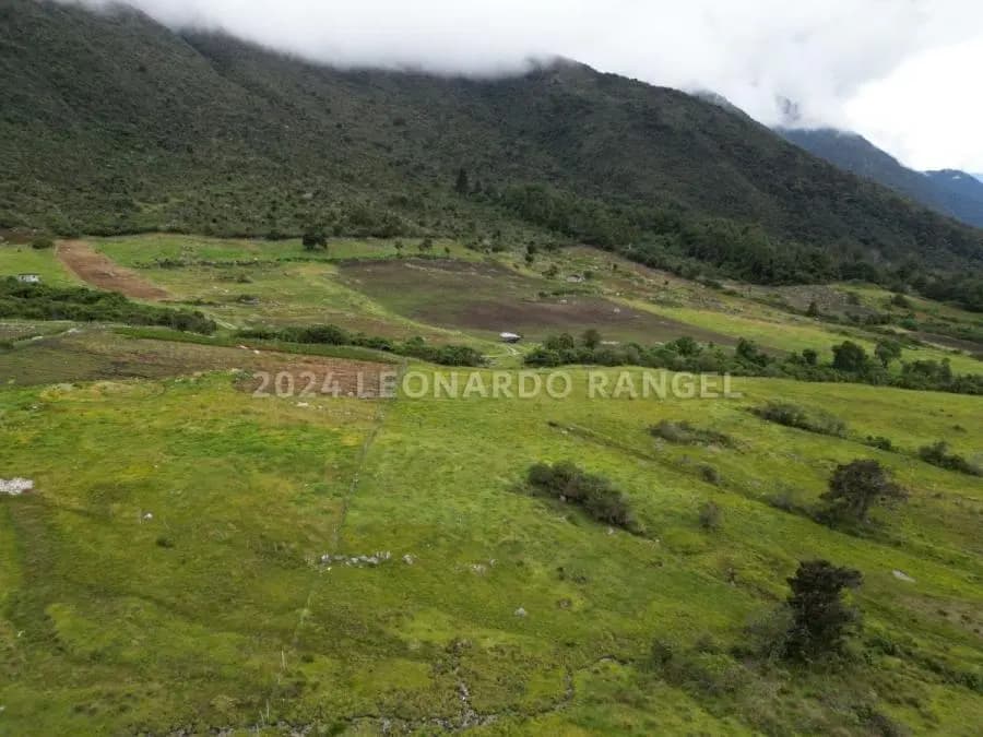 Terreno en Venta en la culata Mérida - 3