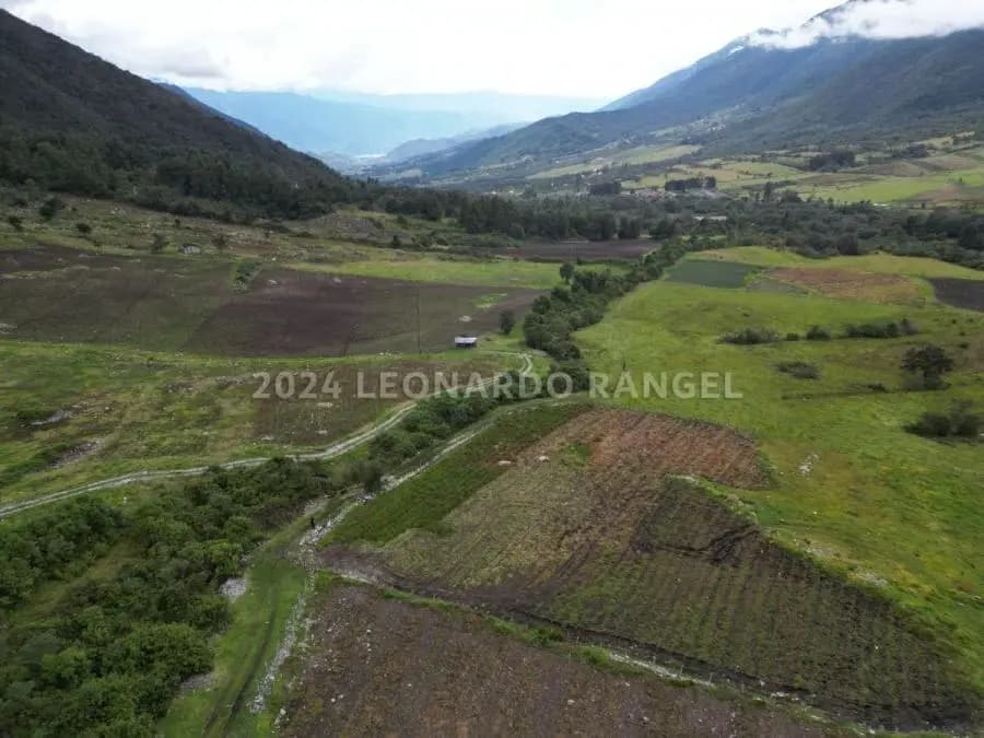 Terreno en Venta en la culata Mérida - 4