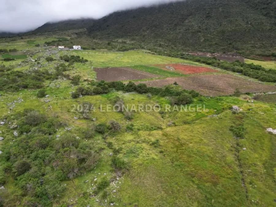Terreno en Venta en la culata Mérida - 5