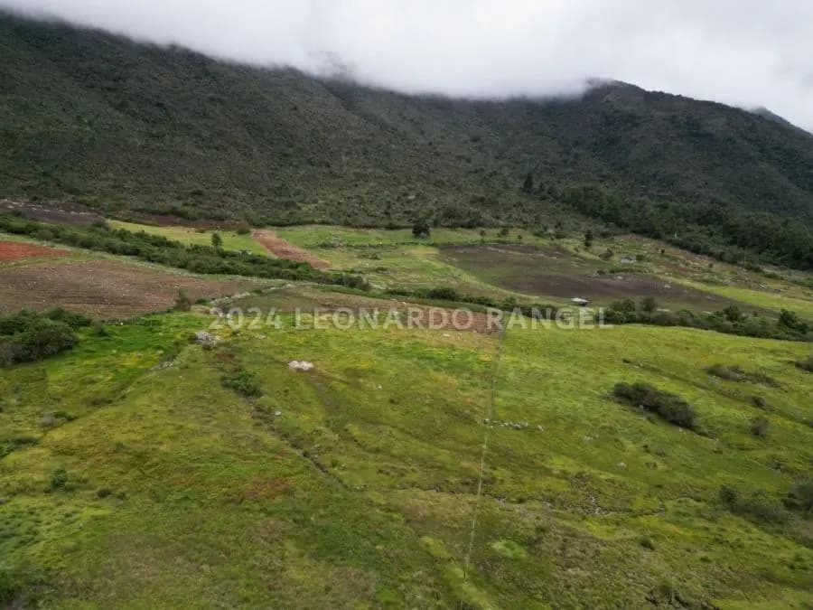 Terreno en Venta en la culata Mérida - 6