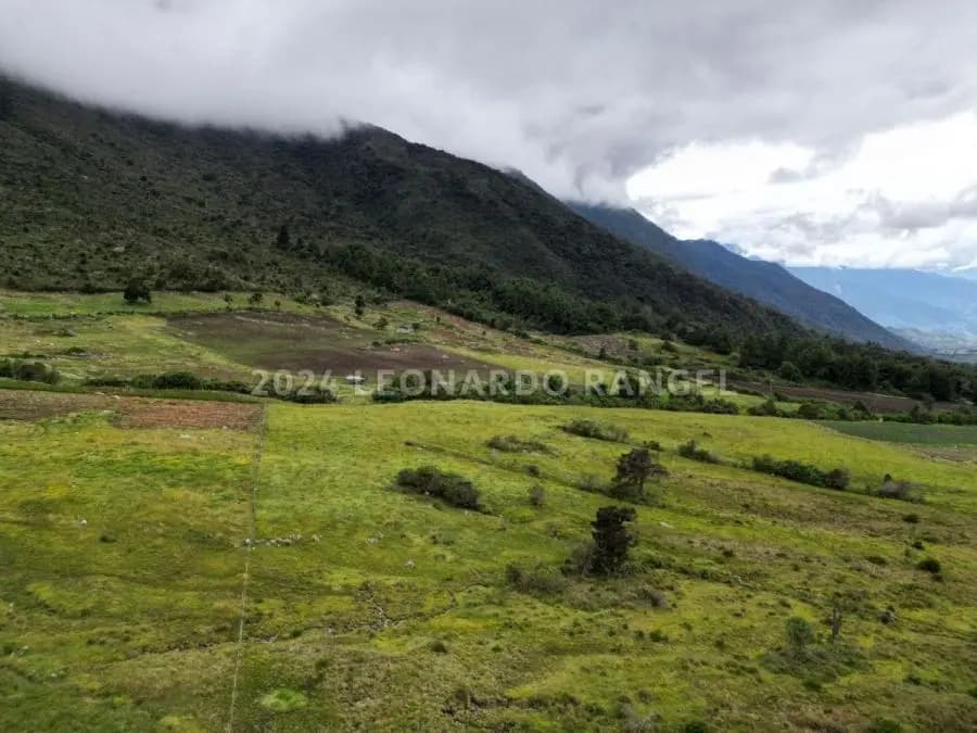 Terreno en Venta en la culata Mérida - 7