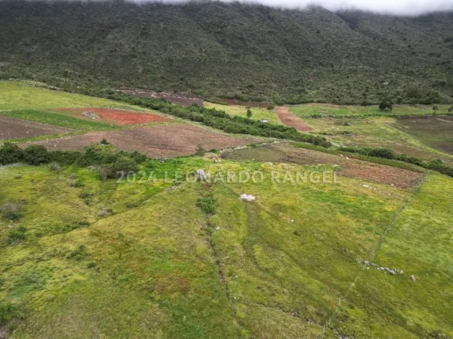 Terreno en Venta en la culata Mérida - 8