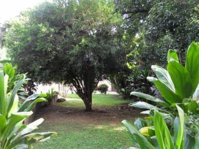 Terreno en venta en Los Chorros, con un área aproximada de 3.240m2 AH - 10