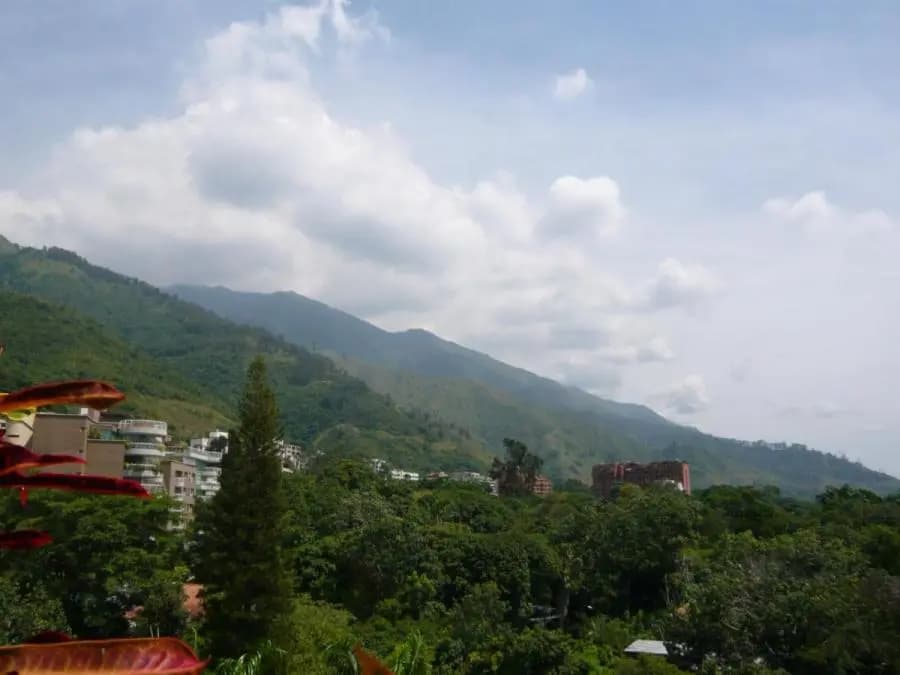 Apartamento en Venta en Sebucán Caracas - 6